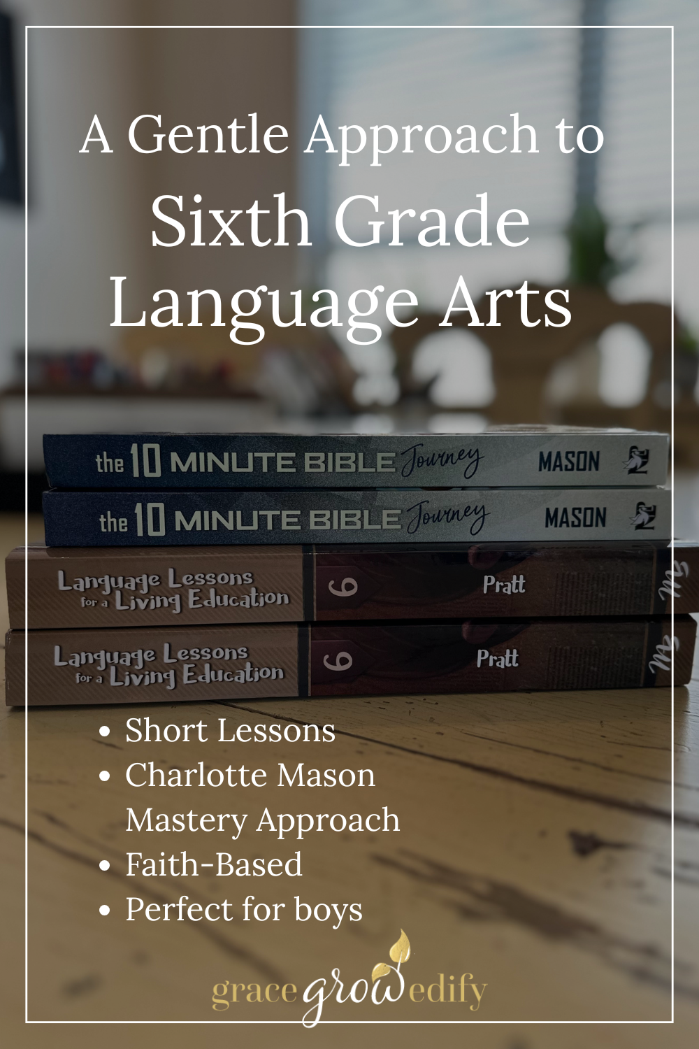 Homeschool boy enjoying a gentle, mastery-based sixth grade language arts lesson using Language Lessons for a Living Education Level 6