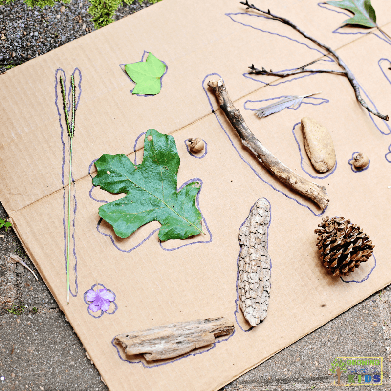 Nature Shape Puzzle Activity