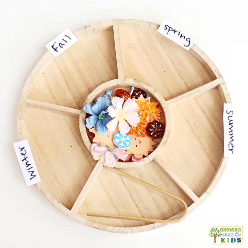 Season Sorting Sensory Tray